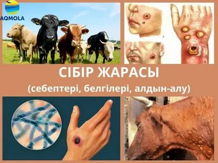 Лесбиянкалар ер адамды жұлып алды