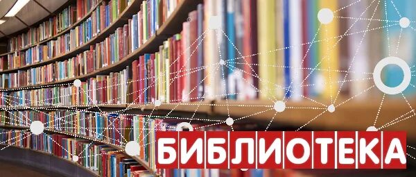 Цифровая библиотека картинки. Учет книг в библиотеке. Учет книг в библиотеке 1с. Фото библиотечного учета книг. Год качества в библиотеке