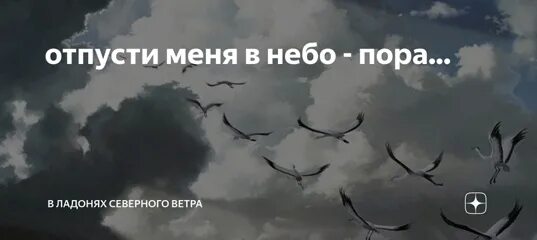 Песня я вернулся отпусти меня. Отпусти меня. Отпустить птицу в небо. Небо для меня. Заставка отпускаю.