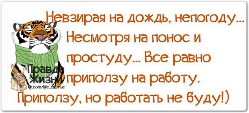 Невзирая на дождь непогоду. Пришла с работы. Собеседование демотиваторы. Все равно на работу приду. Все равно на работу приду.