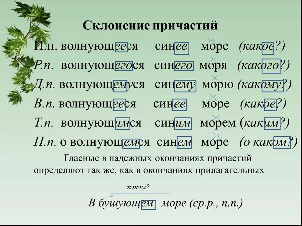 Само произведение просклонять. Склонение причастий правописание окончаний причастий. Склонение причастий падежные окончания причастий. Склонение причастий и правописание гласных в падежных окончаниях. Как определить склонение причастий.