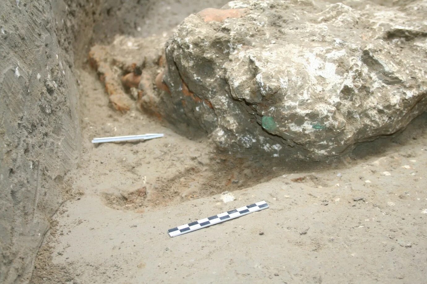 хорошо сохранившиеся останки. раскопки палеонтологов динозавров. археологи нашли сохранившийся. археологические находки в тыве. археологи нашли сохранившийся.