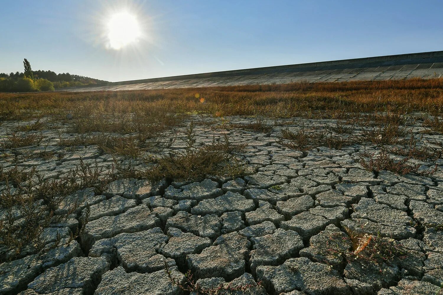 Засуха. Засуха в Европе. Засуха в России. Высохшая река.