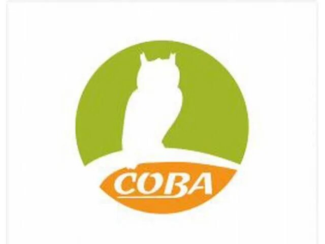 Сотрудники агентства недвижимости сова тюмень. Ан сова недвижимость. Сова агентство недвижимости. Ан сова тюмень сотрудники. Агентство недвижимости сова тюмень.