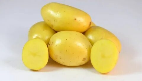Желтые сорта картофеля