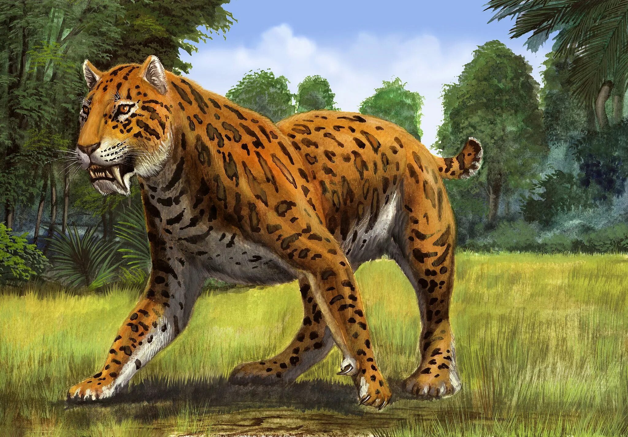 Smilodon. Cмилодон (Саблезубый тигр). Саблезубые тигры Смилодоны. Мегантереон вымершие. Смилодон и мегантереон.