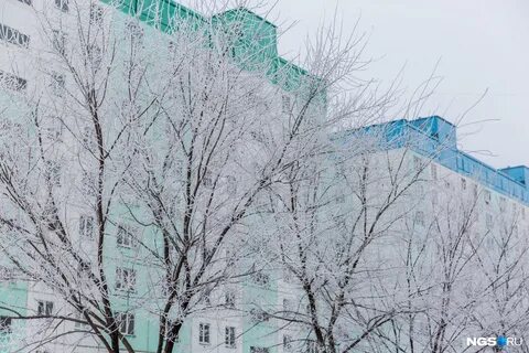 Исчезнувшая весной