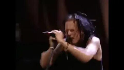 Korn rotting in vain