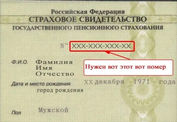 Ошибка в свидетельстве. Номер снилс. страховой номер индивидуального лицевого счёта. номер снилс ребенка по свидетельству о рождении. свидетельство и номер на свидетельстве о рождении.
