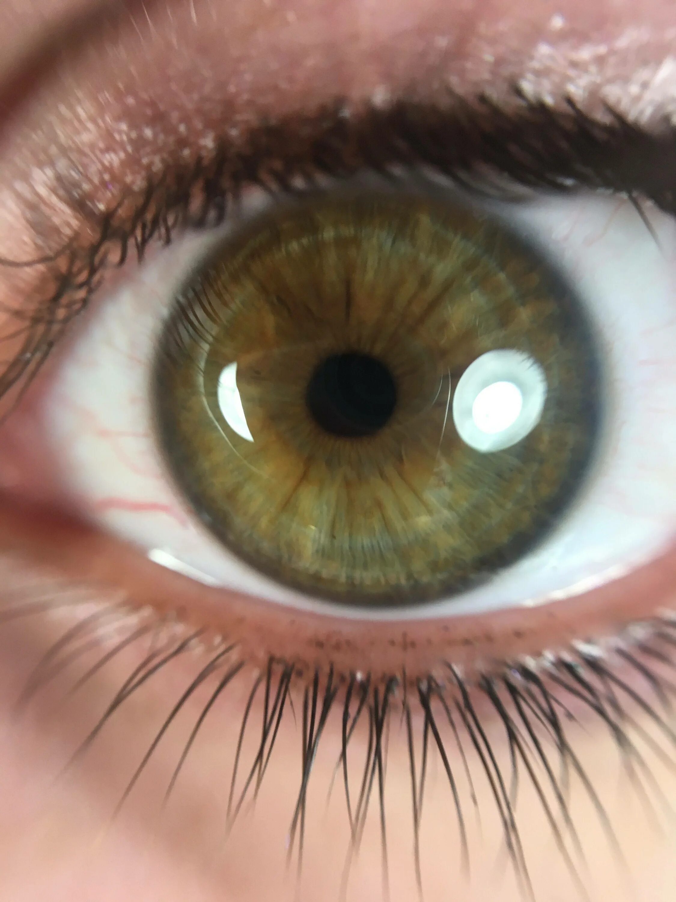 Буро желтые глаза. Hazel цвет глаз. Зелёный Хазел цвет глаз. Хейзел Грин. Хейзел Грин цвет глаз.