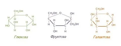 Мономеры глюкозы и фруктозы