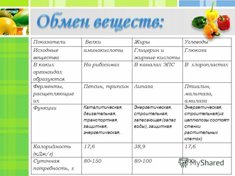 Выбери продукты соответствующие исходным веществам. Выбери продукты соответствующие исходным веществам