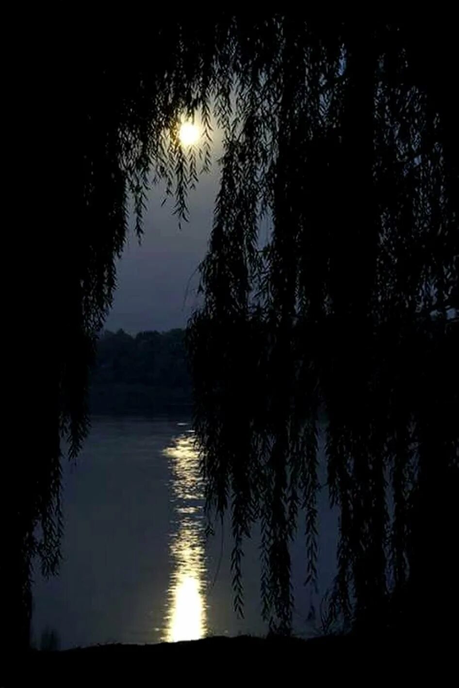 Ночная река слова. Река ночью. Озеро в лунном свете. Ночь река лес. Ива ночью.