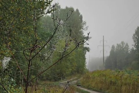 Утро сентябрьское минусинск