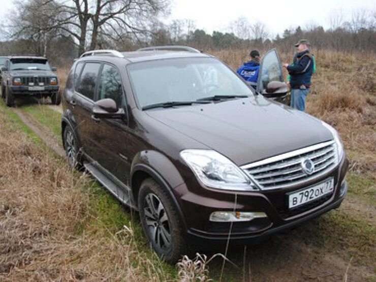 SSANGYONG Rexton rx320. SSANGYONG Rexton и Mercedes ml. SSANGYONG Rexton rx230. SSANGYONG Rexton 4g решетка. Актион оригинал