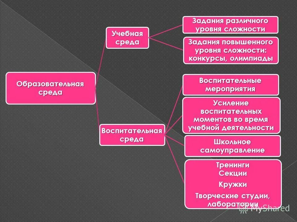Сохранение и распространение культуры. Сохранение и распространение культуры