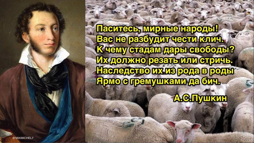 Пушкин 1 народ. Паситесь мирные народы Пушкин. Пушкин паситесь мирные народы вас не разбудит чести клич. Стих зачем стадам дары свободы. Стих Пушкина паситесь мирные народы.