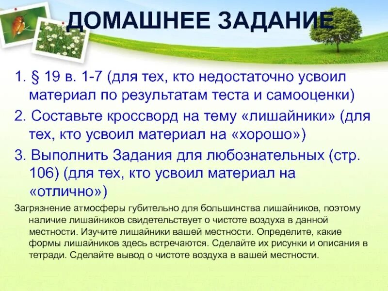 Вывод о чистоте воздуха. Вывод о чистоте воздуха в нашей местности. Вывод о чистоте воздуха биологии. Сделайте вывод о састоте воздуха в вашей местности.