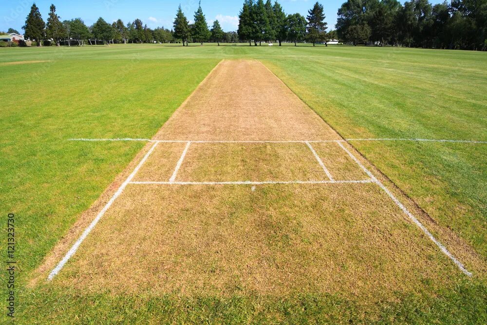 Pitch field