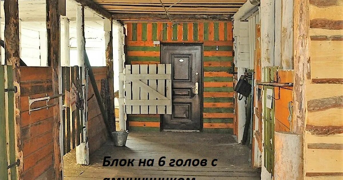 Сколько стоит постой. Денник в конюшне из дерева. Поселок монетный конный клуб. Конюшни с выгулом весь световой день. Бельгия дом конюшня с левадами.