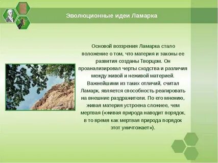 Единица эволюции по ламарку