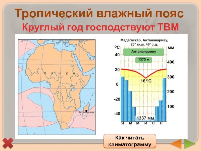 Страны с теплым влажным