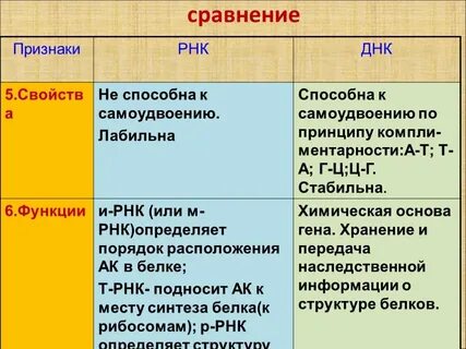 Рнк самоудвоение