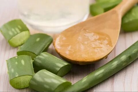 Чем полезен алоэ для кожи