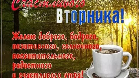 Доброе утро вторника лета