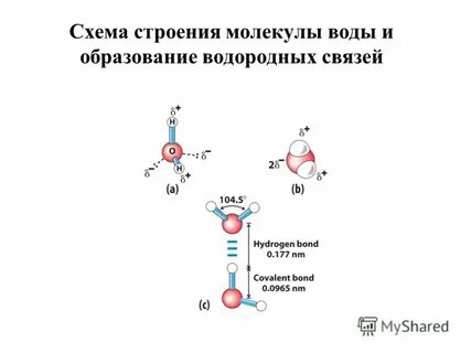 Образование водородных связей между молекулами