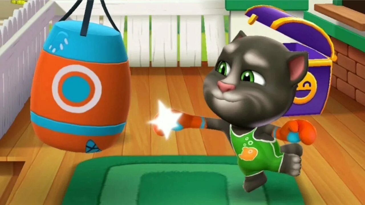 Бокс говорящий том. Talking Tom Boxing. Talking Tom in the Box. Talking Tom Boxer. Tom's box