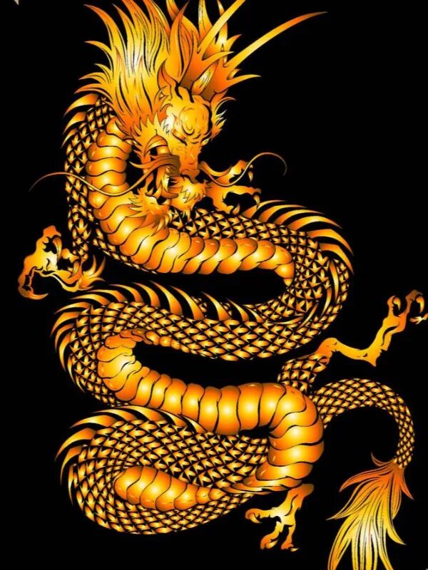 Включи золотой дракон. Дракон золотой дракон золотой дракон золотой дракон золотой. Золотой дракон гнедной дракон. Японский золотой дракон. Золотой китайский дракон.