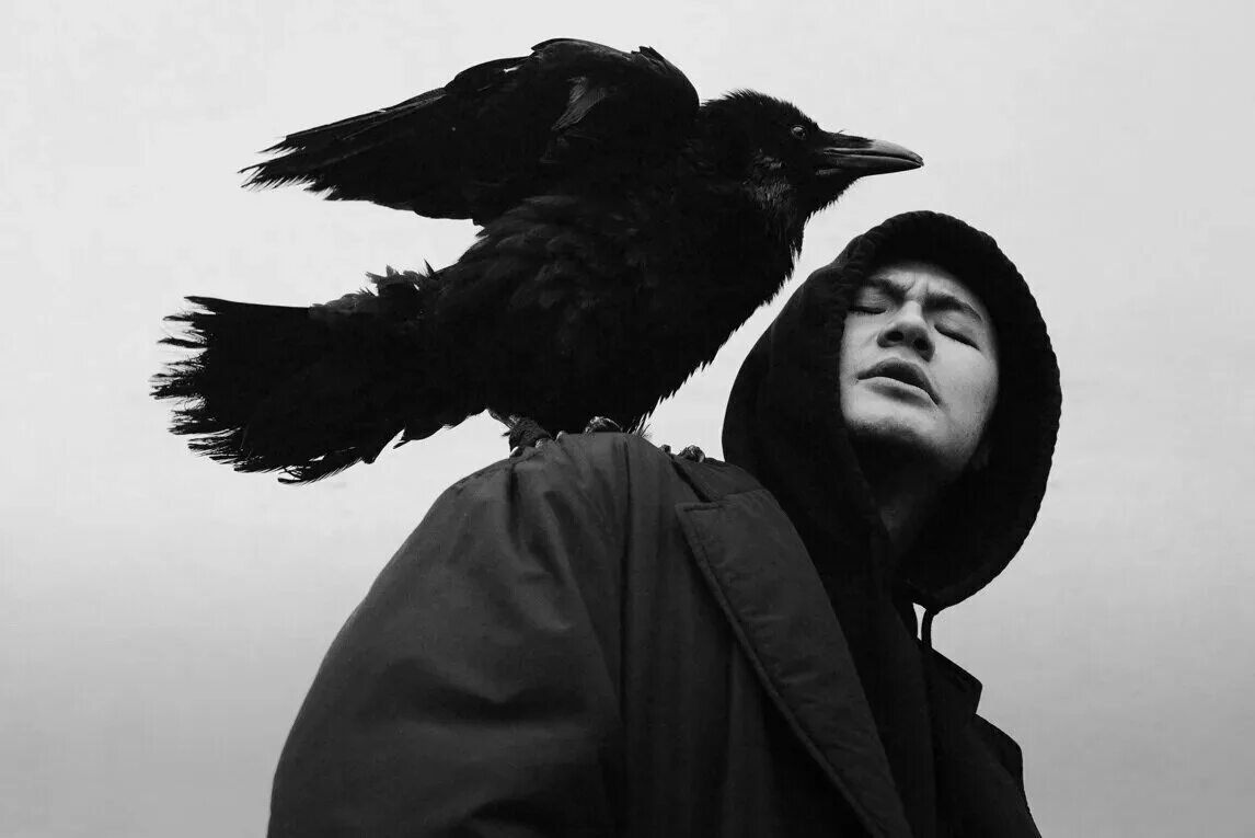 Черный ворон асмолов обложка. Певец ворон. Чёрный ворон песня. Ворон песня. Черный ворон исполнитель.