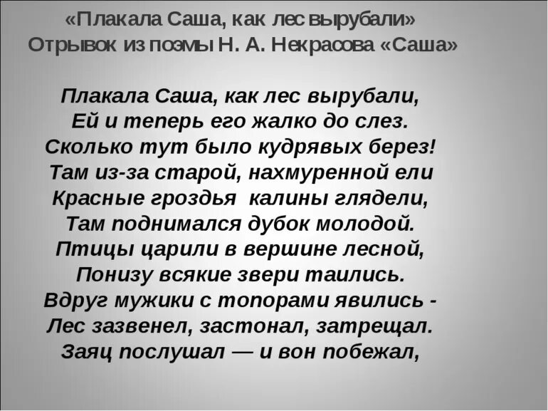 Н.А Некрасов Саша отрывок из поэмы. Н А Некрасов Саша стихотворение. Саша отрывок из поэмы Некрасова. Н Некрасов Саша отрывок.