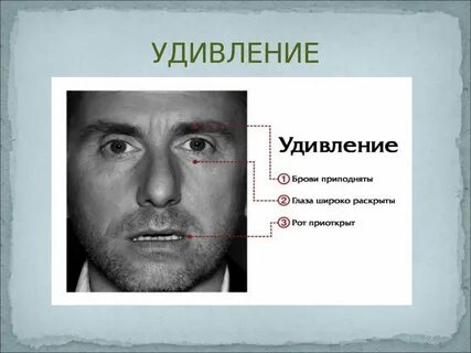 Проявление эмоций в мимике