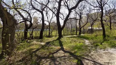Роща в новороссийске