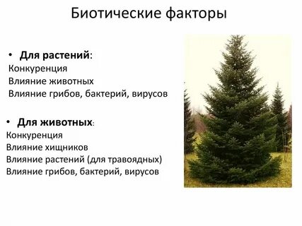Примеры влияние различных факторов