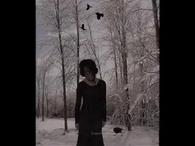 Кредо снег