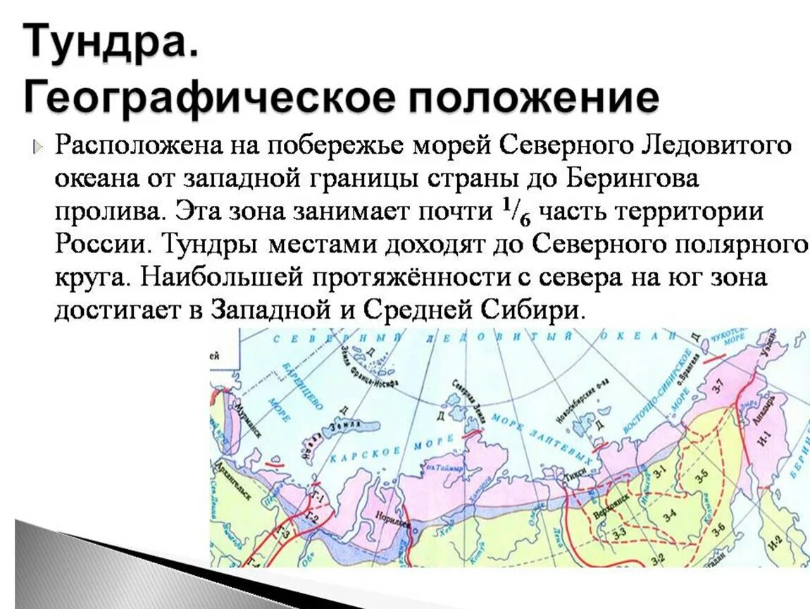 Тундра и другие зоны. Географическое положение тундры в России карта. Тундра расположение природной зоны. Географическое положение тундры. Тундра на карте природных зон.