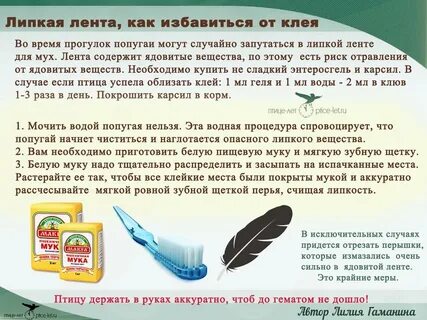 Чем оттереть ленту от мух