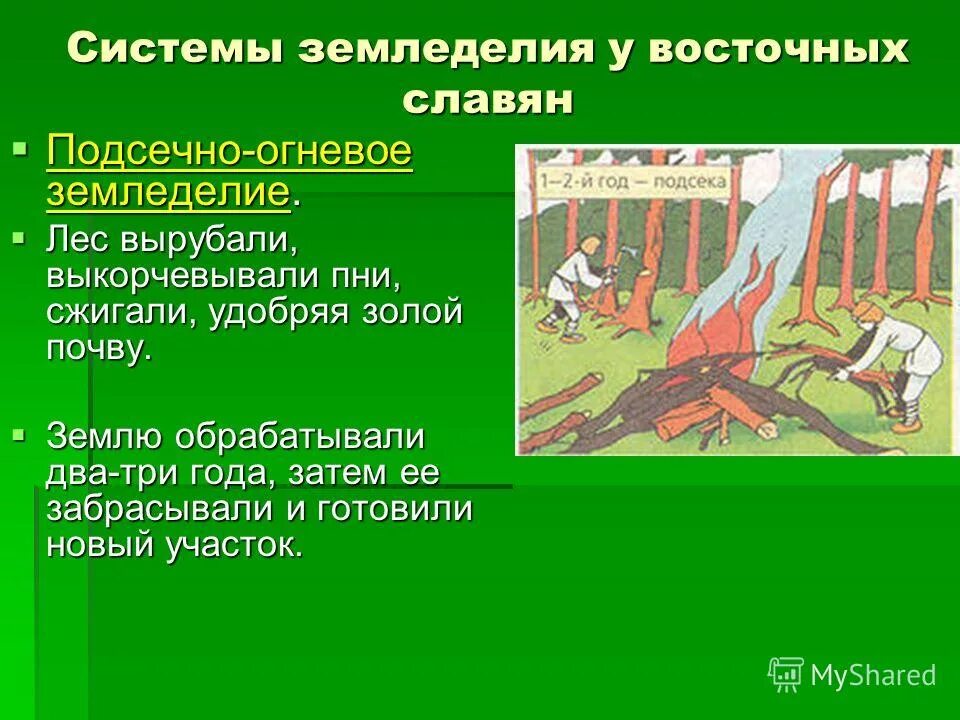 Как называется система земледелия у славян. Подсечно-огневое земледелие восточных славян. системы земледелия у восточных славян. переложная система земледелия у восточных славян. способы обработки земли у восточных славян.