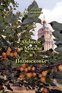 Москва абрикосовая