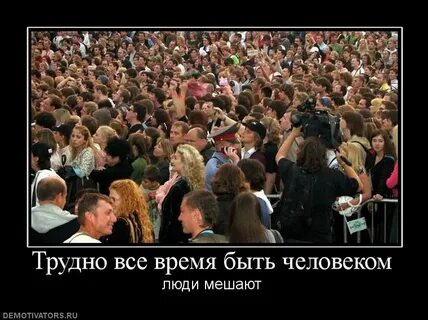 Общественная деградация
