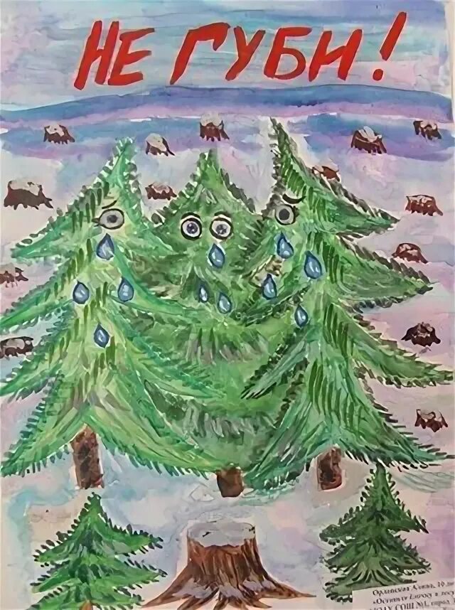 Берегите ели рисунки