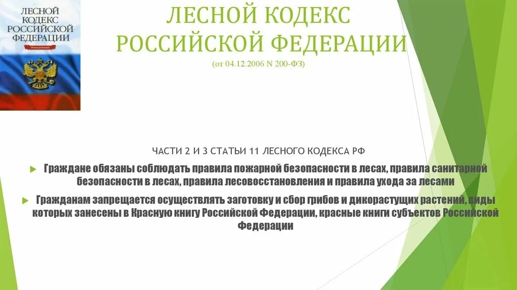 Лес гражданину рф. Лесной кодекс Российской Федерации. Лесной кодекс Российской Федерации от 04.12.2006 200-ФЗ. Экологическое право Российской Федерации.