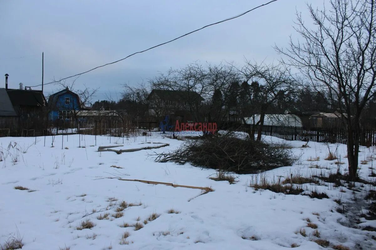 Ларионово. Опрс ларионово. Погода в ларионово. Погода в ларионово. Погода в ларионово.