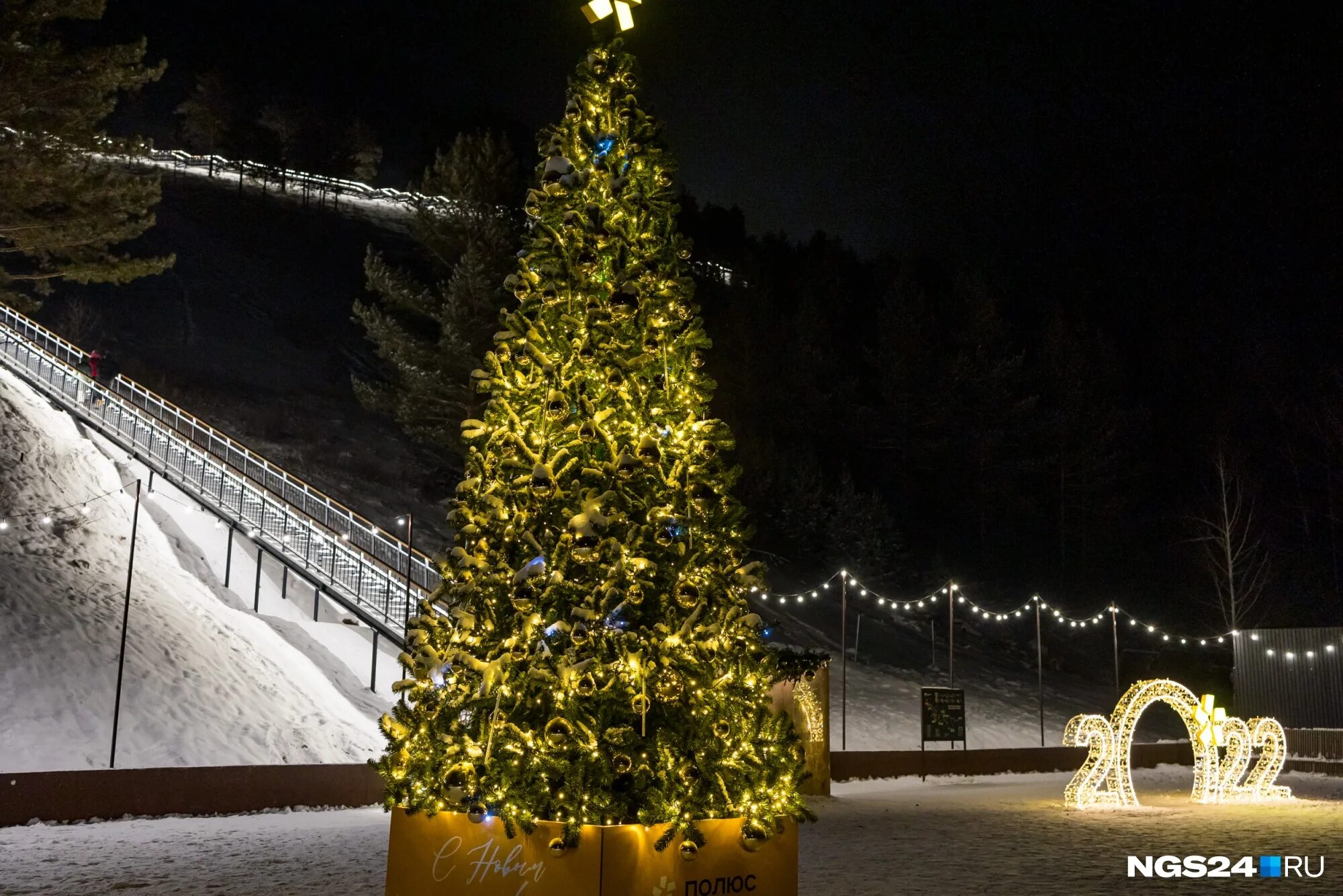 Новогодняя Луга фото. Новогодние фото в поселке Лытка. 2020 фото новый год