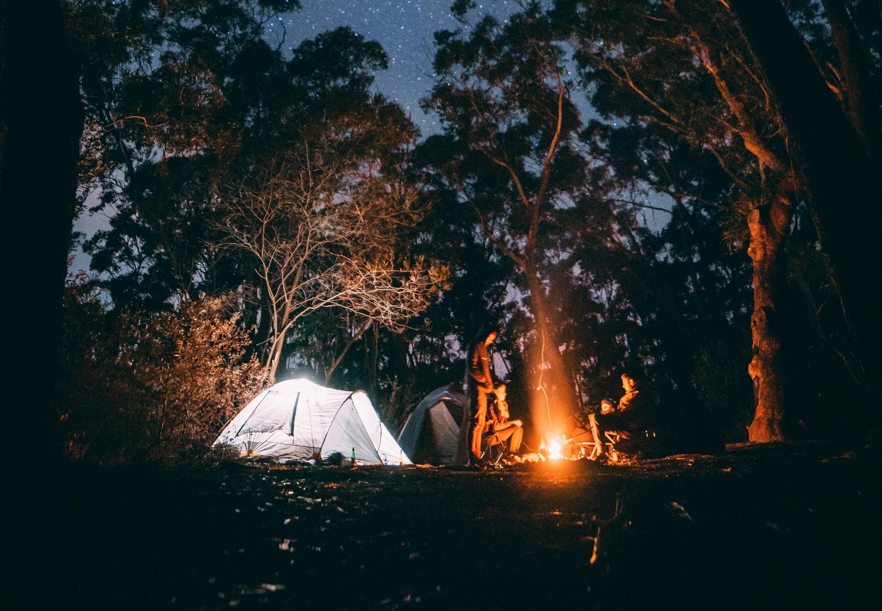 Темнота в палатке. Палатка костёр кемпинг. Лес палатки костер поход. Палатка в лесу. Ночь палатка костер.