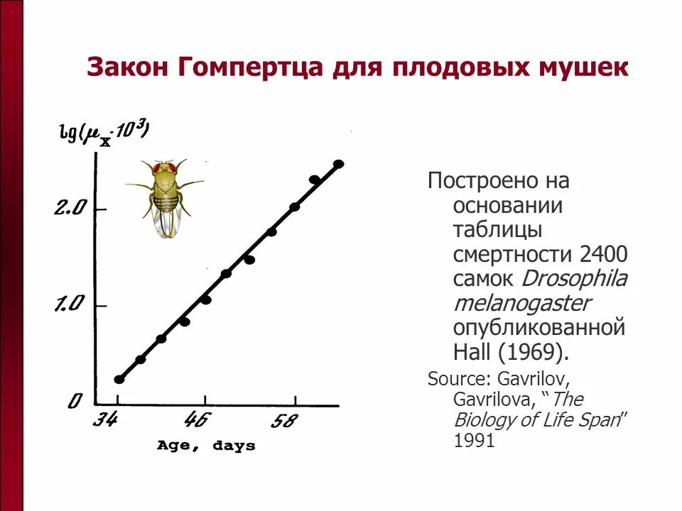 Закон смертности гомпертца-мейкхама. Закон смертности гомпертца. Причины старения человека. Модель гомпертца мейкхама. Mortality человек.