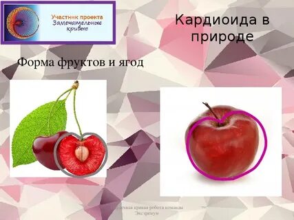 Знатоки из жизни фруктов